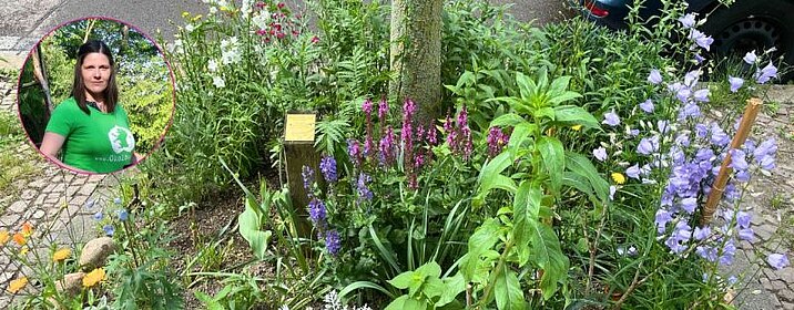 Das  Bild zeigt ein Beispiel für ein Baumbeet und die Workshop Leiterin Antje Osterland