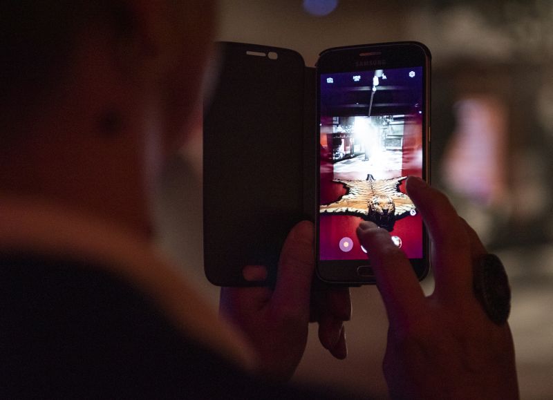 Besucher macht mit seinem Smartphone ein Foto vom Tigerfell aus "Dinner for One".