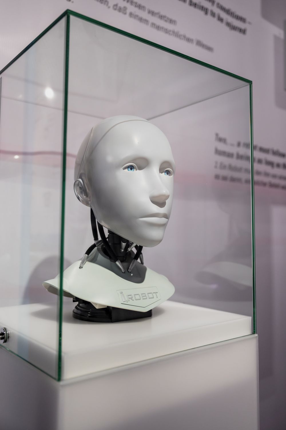 Bust of a white human-like robot in a display case