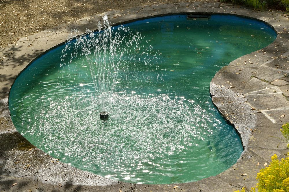 Teich im Museumsgarten