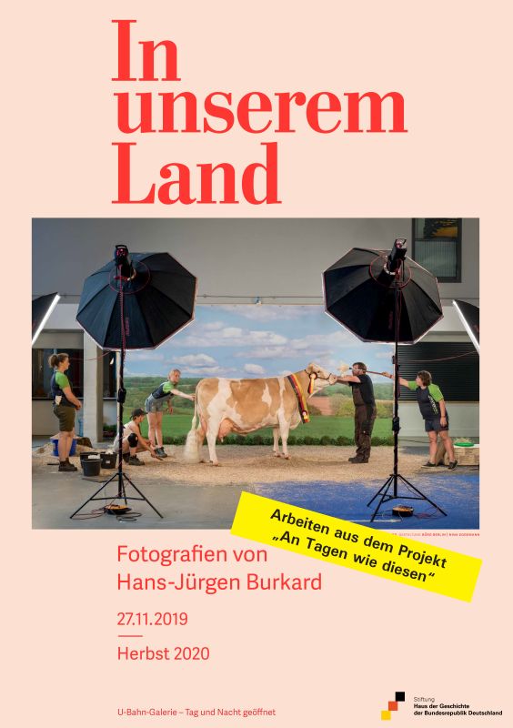 Poster with a photo scene, on which a cow is standing in a photo studio surrounded by people.