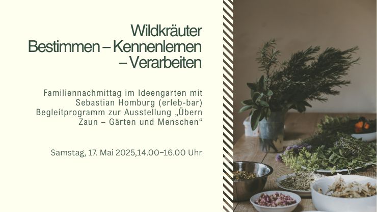 Grafik Wildkräuter bestimmen, kennenlernen, verarbeiten, mit Foto von Kräutern auf einem Tisch