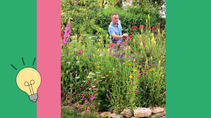 Mann steht hinter Blühstreifen in einem Garten