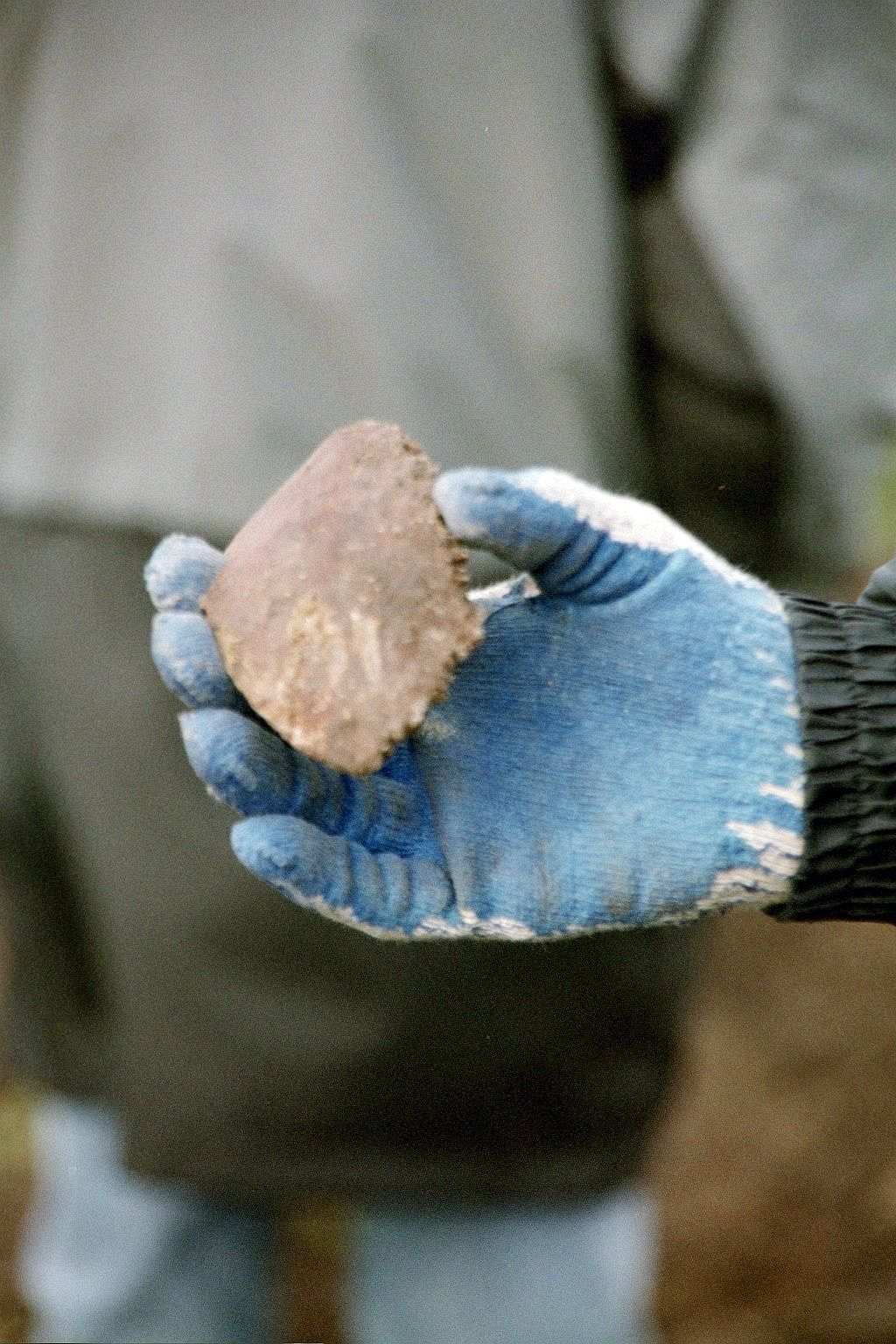 Eine Hand mit blauem Handschuh hält ein bei der Grabung entdecktes Schädelfragment in die Kamera. Detailaufnahme, Hintergrund verschwommen.