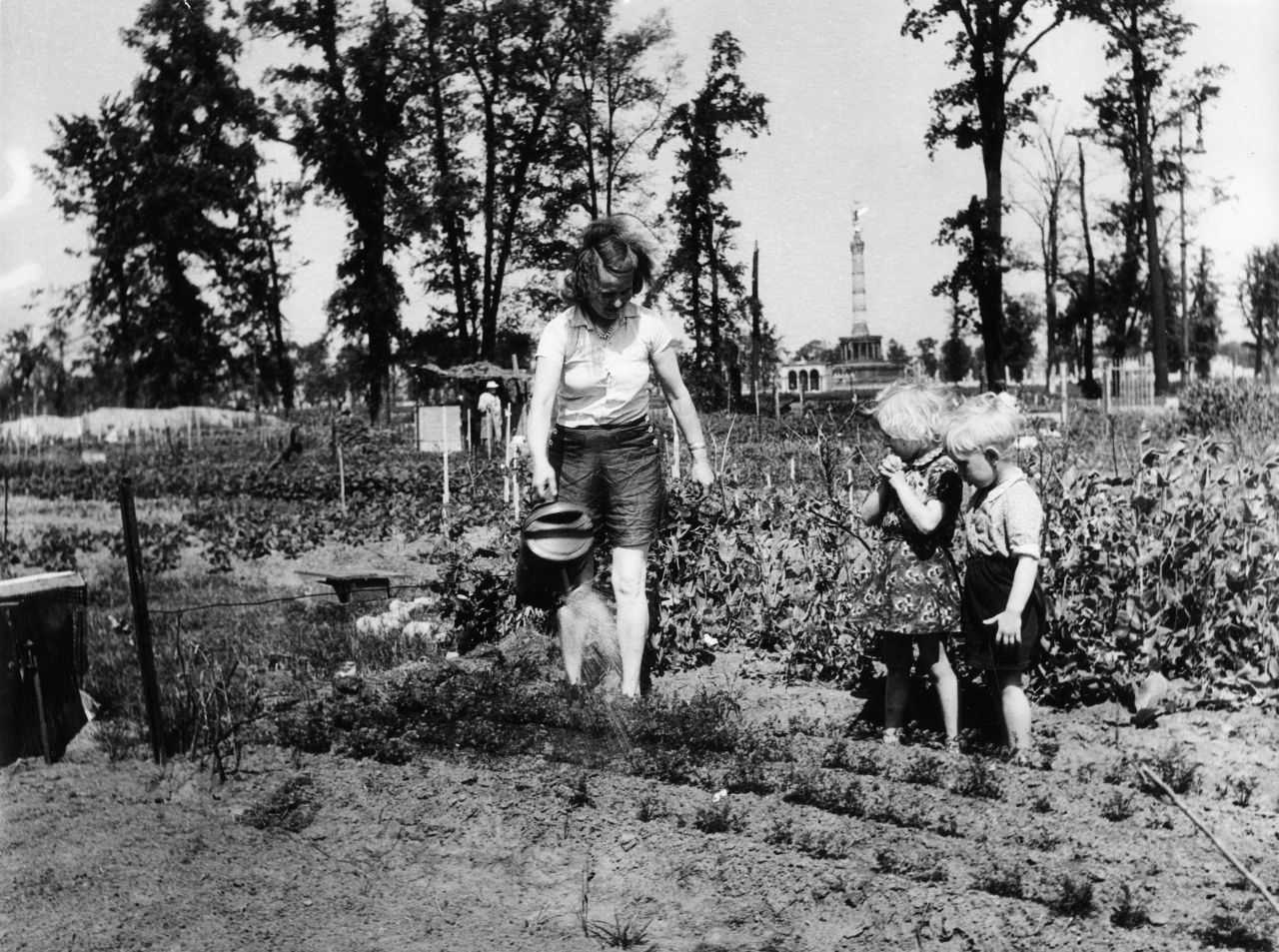 Foto von Gemüseanbau im abgeholzten Berliner Tiergarten nach dem Zweiten Weltkrieg. Frau beim Gießen eines Beets, im Hintergrund die Siegessäule
